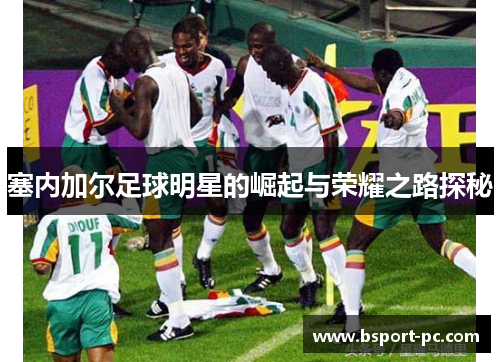 塞内加尔足球明星的崛起与荣耀之路探秘